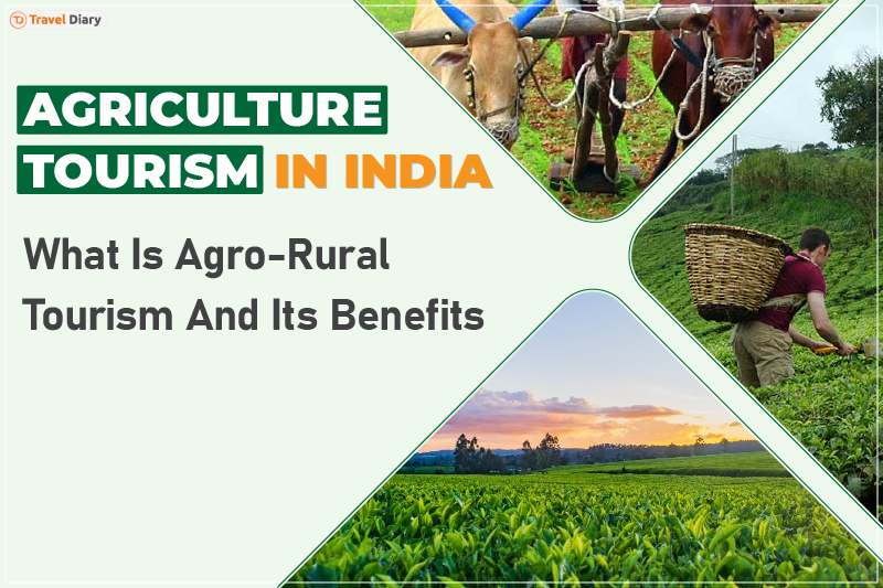 Harvesting Rich Experiences: Agriculture Tourism in India