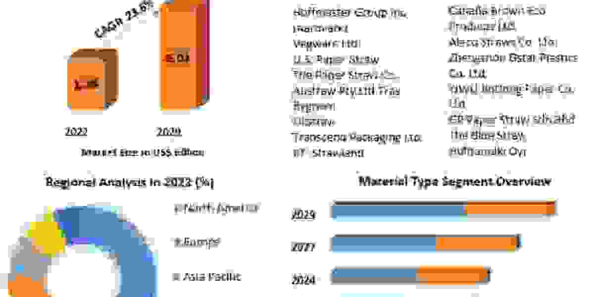 Paper Straws Market Detailed Analysis of Current Industry Trends, Growth Forecast To 2029