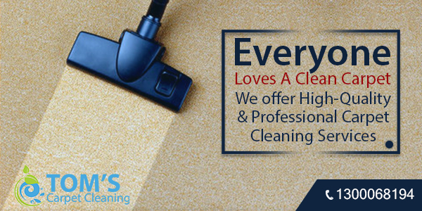 Carpet Cleaning Mordialloc | Rug Cleaning Expert | Toms Carpet Cleaning