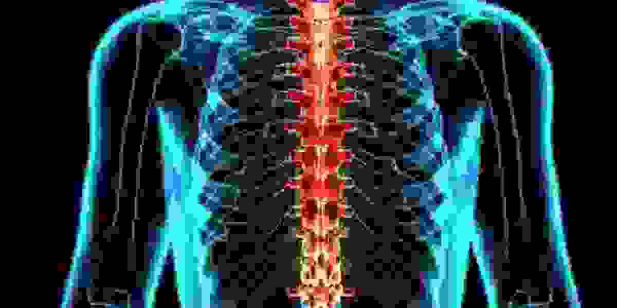 Spinal Cord Injury Market Share, Epidemiology, Analysis & Trends 2023-2033