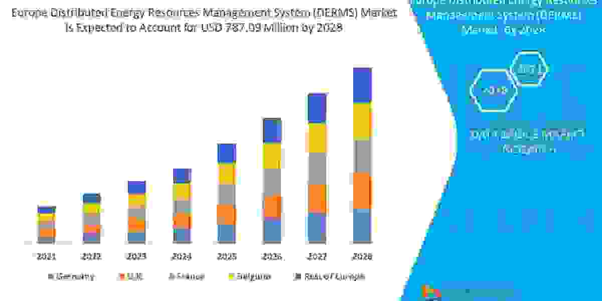 Europe Distributed Energy Resources Management System (DERMS) Market Growth Trends, Key Players, and Competitive Strateg