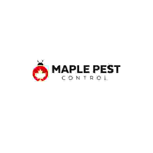 maple pest Profile Picture