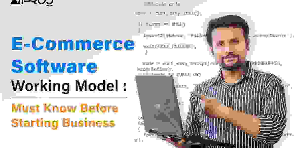 Best E-commerce Software Working Model: Must Know Before Starting Business in 2023