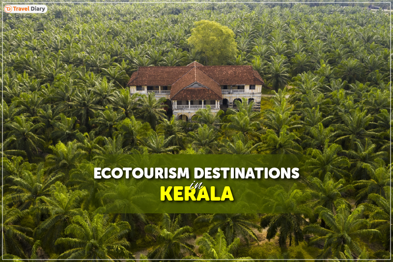 Uncover Enchanting Ecotourism Destinations in Kerala