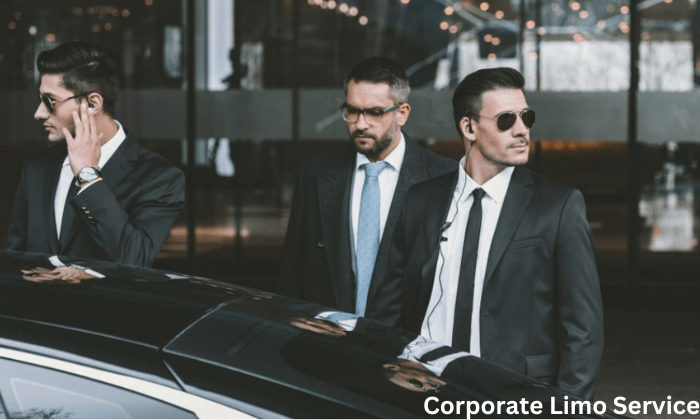 Experience Excellence with Tuleen Limo's Corporate Limo Service