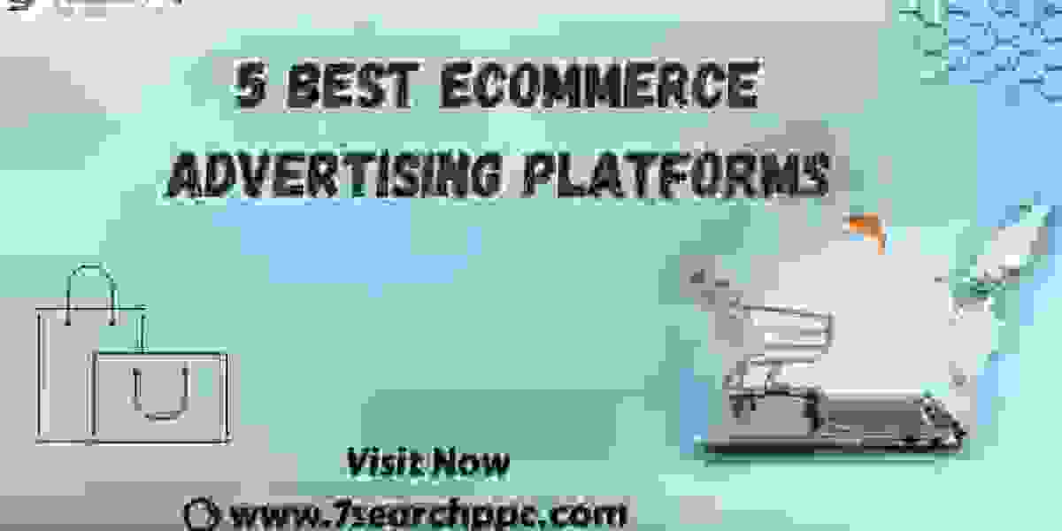 5 Best Ecommerce Advertising Platforms