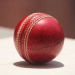 cricket betlive Profile Picture