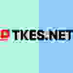 TKES_NET Profile Picture