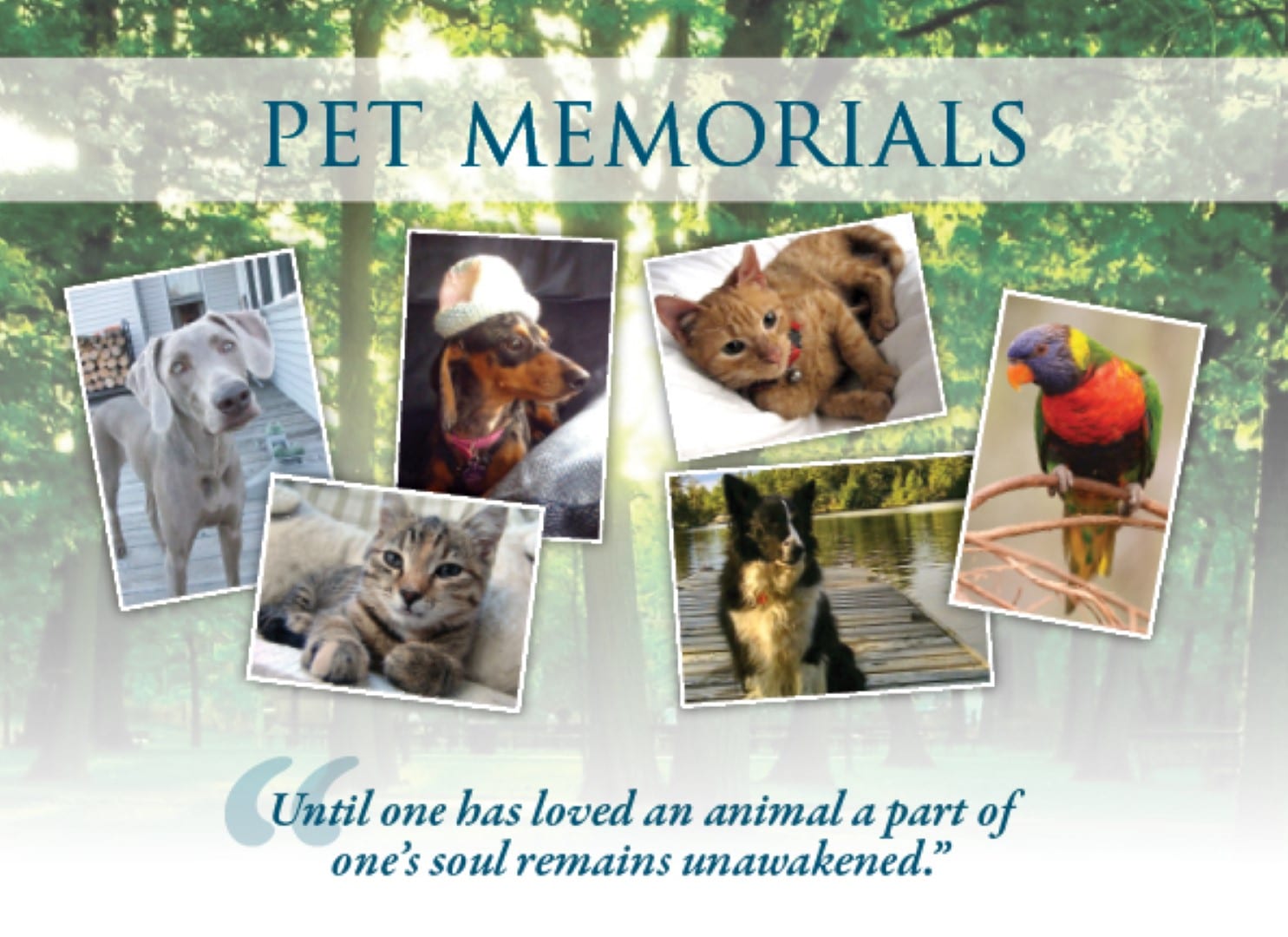 Beautiful Pet Memorial Markers | Faith Monuments