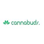 Cannabudsus1 Profile Picture