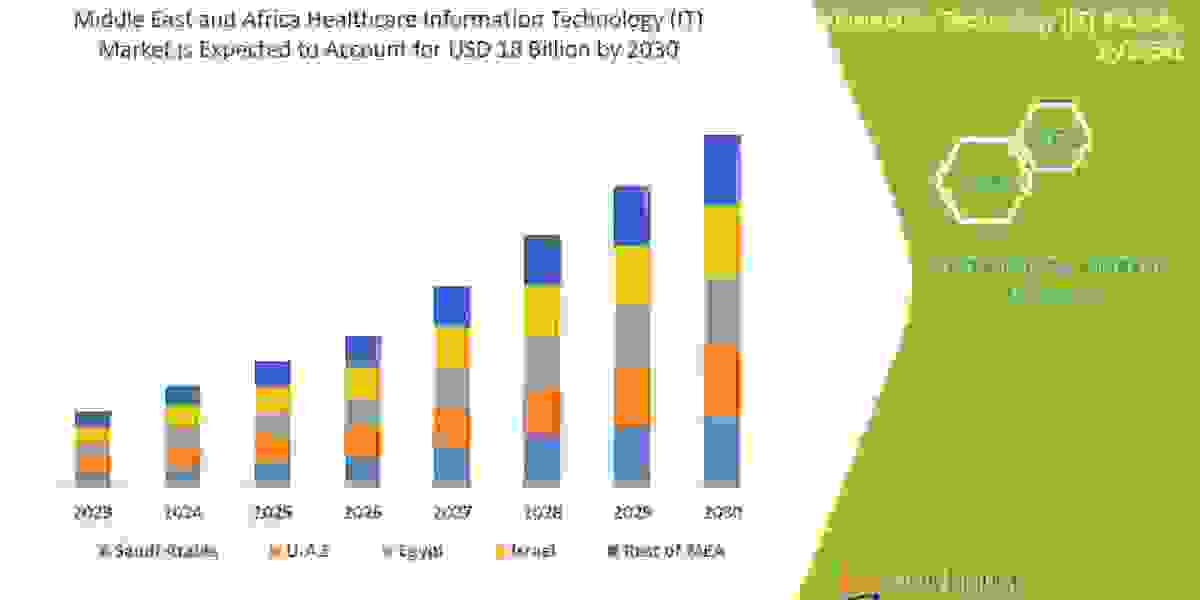 Middle East and Africa Healthcare IT Market to Observe Prominent CAGR Growth of 13.0% by 2030