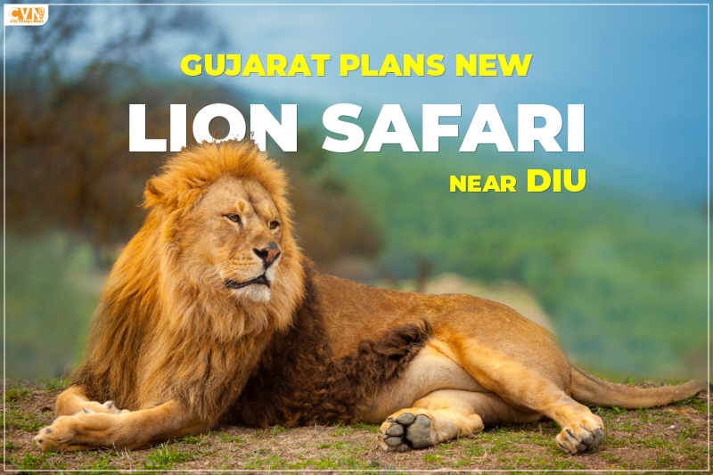 New Lion Safari Park in Gujarat Near Diu Opening Soon