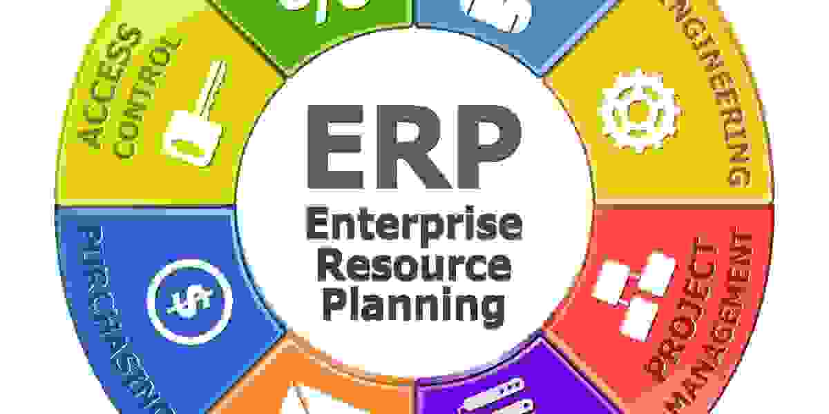 Streamlining Business Operations: An Overview of ERP Applications