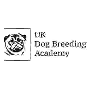 UK Dog Breeding Academy Profile Picture