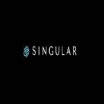 Singular Global Profile Picture