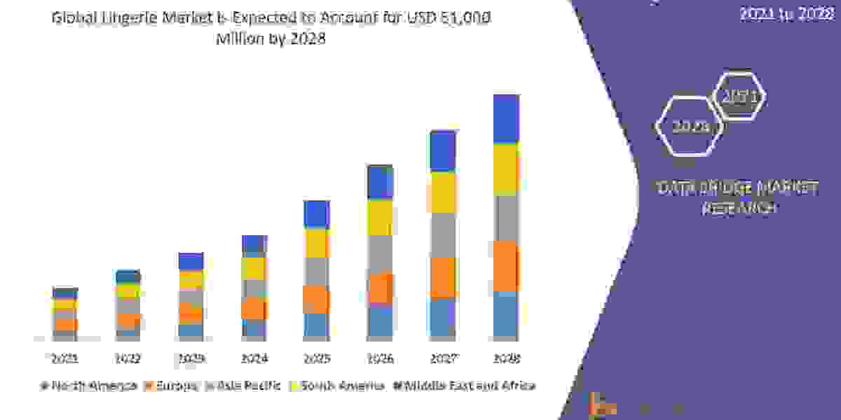 Lingerie Market Projected to Exhibit a Double-Digit CAGR between 2022 and 2029