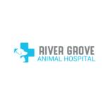 River Grove Animal Hospital Profile Picture