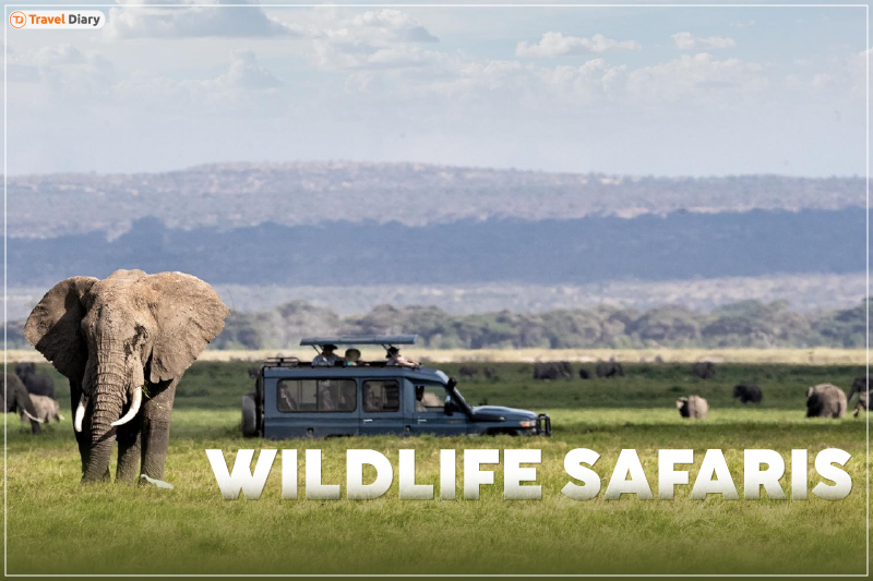 Explore the Thrilling Wonders of Wildlife Safari in USA