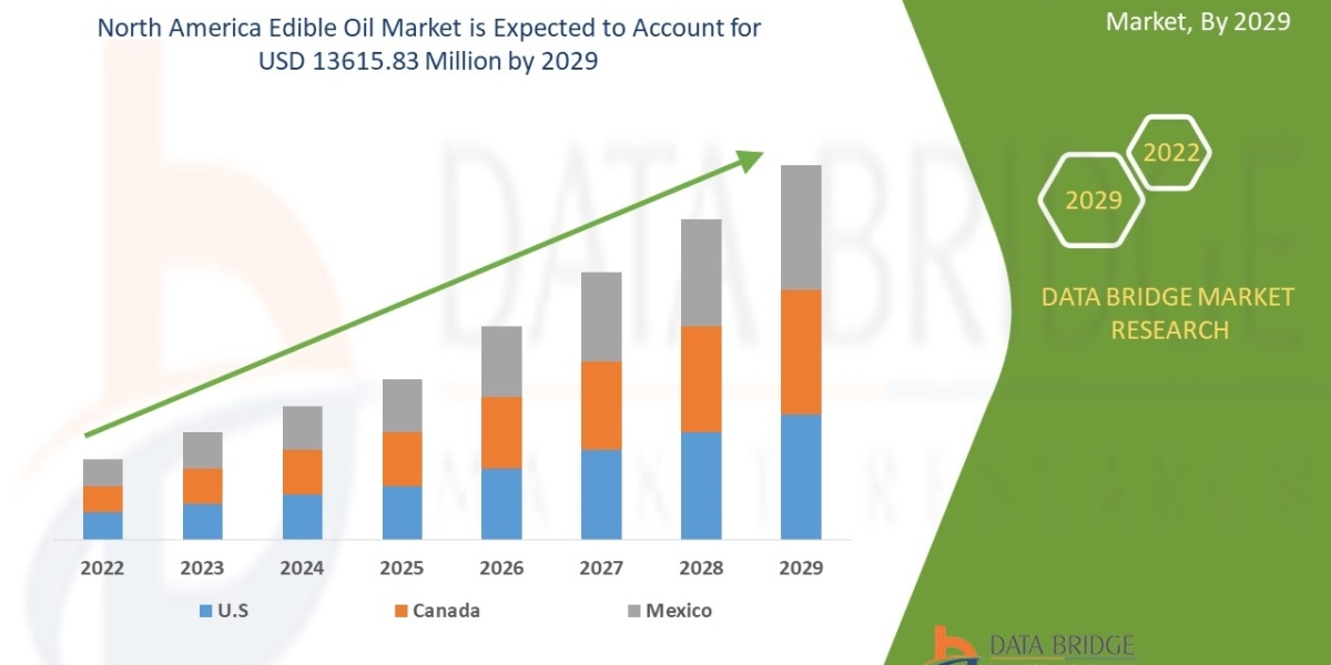 North America Edible Oil Market Business idea's and Strategies forecast 2029