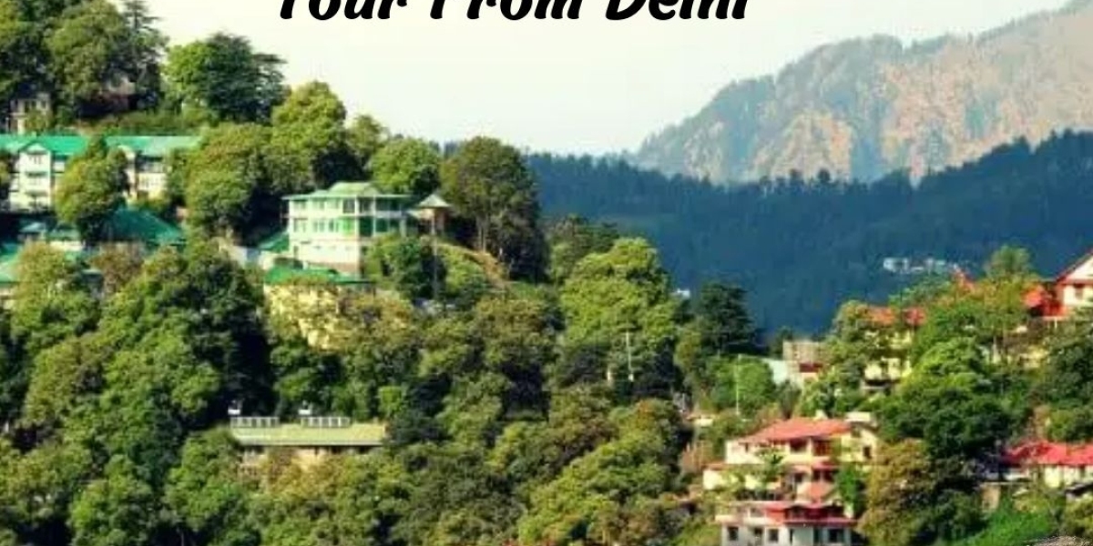 Discovering Shimla: Kufri Tour Packages from Delhi