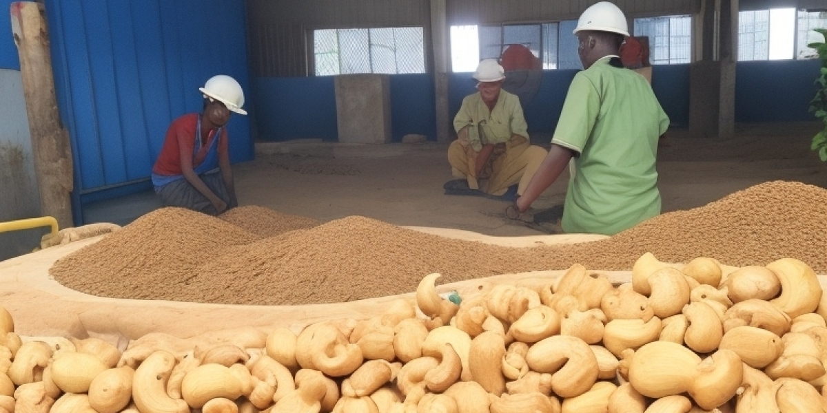 Cashew Nut Processing Plant Project Report 2023:  Investment Opportunities