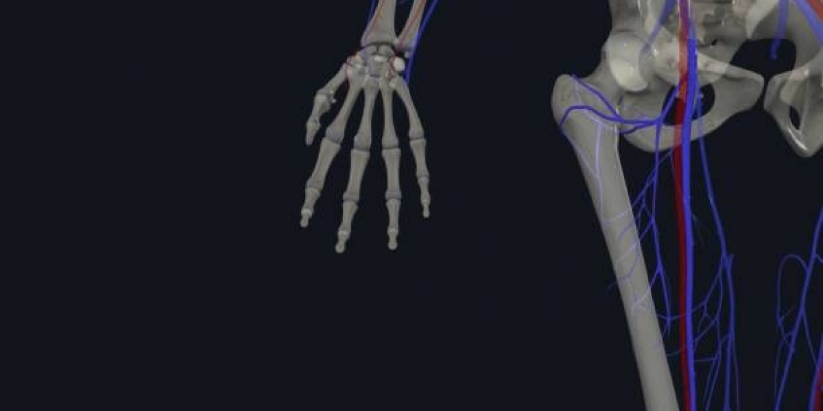 Peripheral Nerve Stimulators (PNS) Market Size 2022 Industry Recent Developments and Latest Technology, Size, Trends, Gl