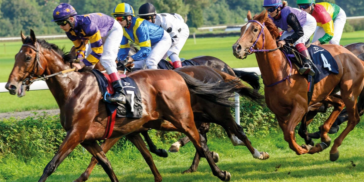 How Do Race Horse Syndicates Work, and Are They Worth It?