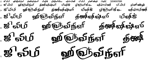 Tam Shakti 36 font download | Tam Shakti 36 font free download