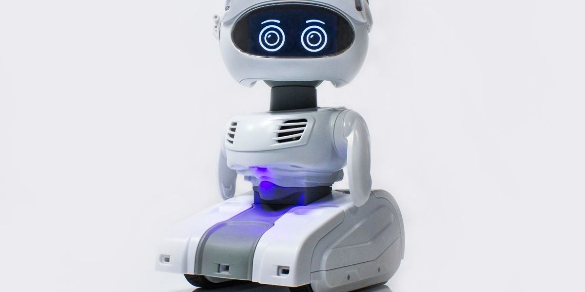 Programmable Robots Market Demands, Industry Growth And Forecast To 2030