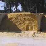 Sawdust Perth Profile Picture