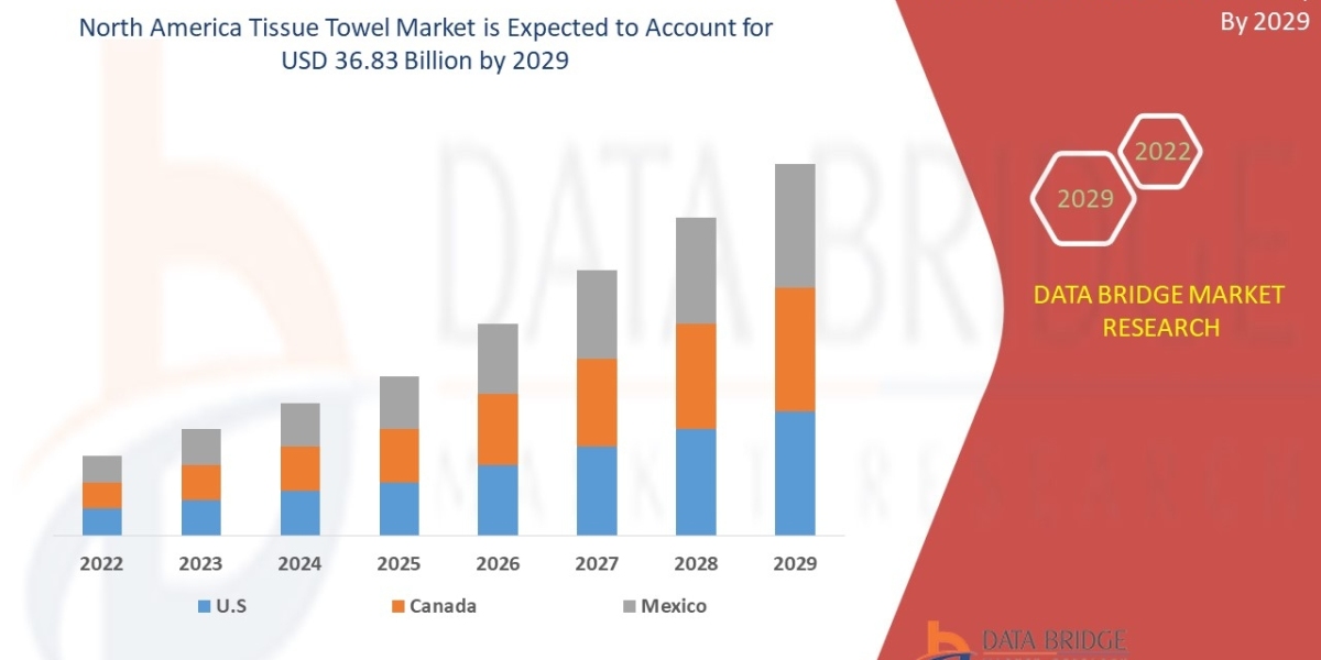 North America Tissue Towel Market Growth Health Infrastructure, Scope & Outlook 2029