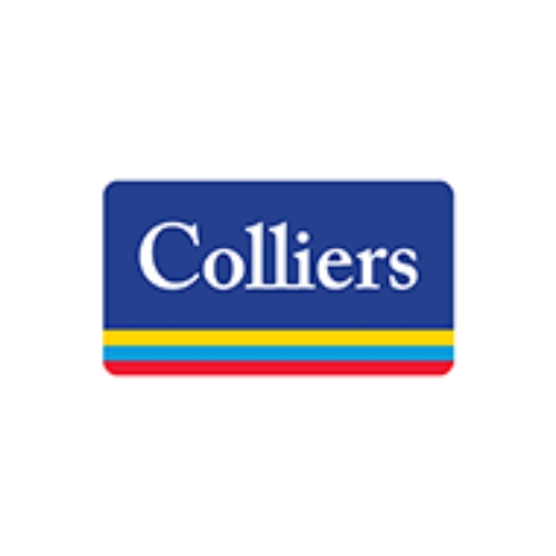 colliers seonz Profile Picture