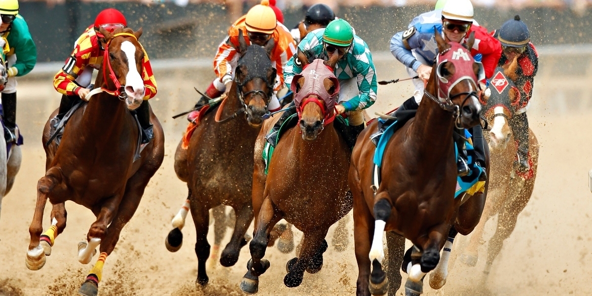 What Makes Race Horse Syndication a Winning Strategy for Investors?
