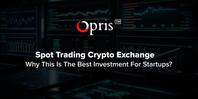 Spot trading crypto exchange: Is it the best investment for startups?