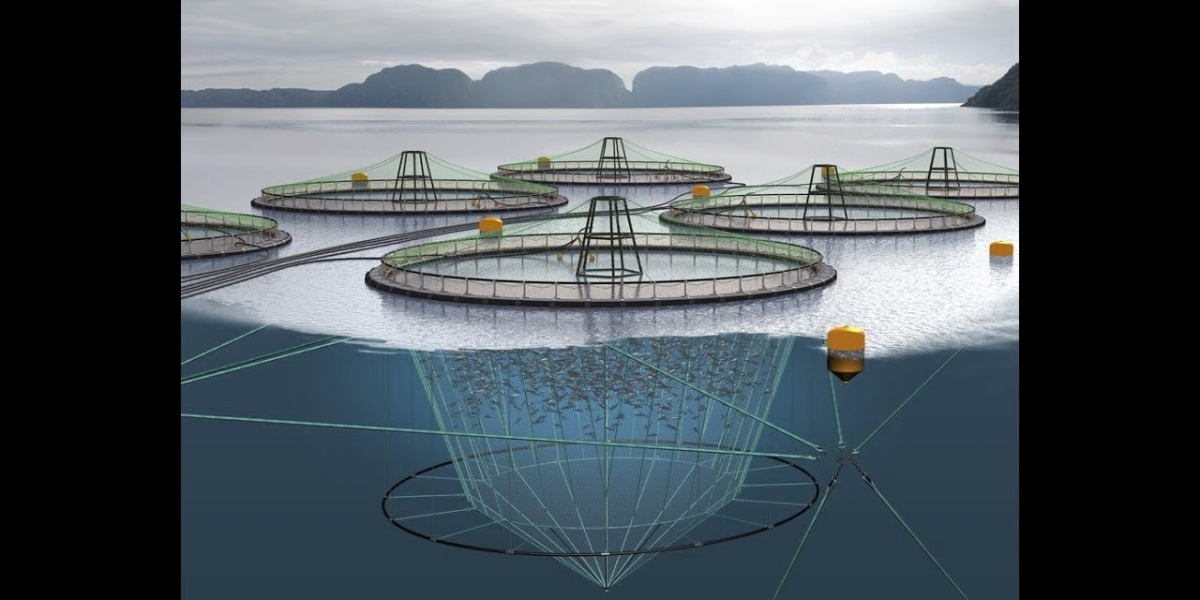 Aquaculture Market Regional Analysis by Forecast to 2028