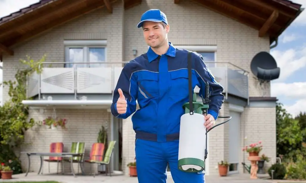 Pest Control Encino: Step-by-Step Instructions for Encino Homeowners - Read News Blog