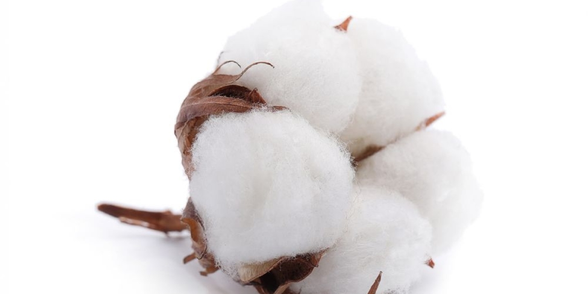 Cotton Seeds Market Analysis Industry Growth, Size, Share And Key Players Profile By Forecast To 2033