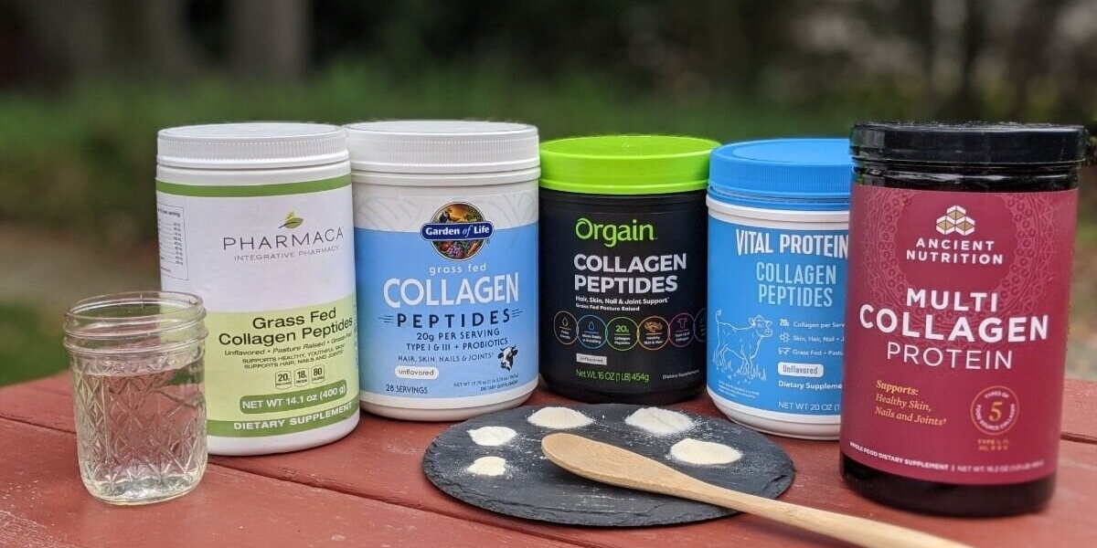 Collagen Market Competitive and Regional Forecast To 2028