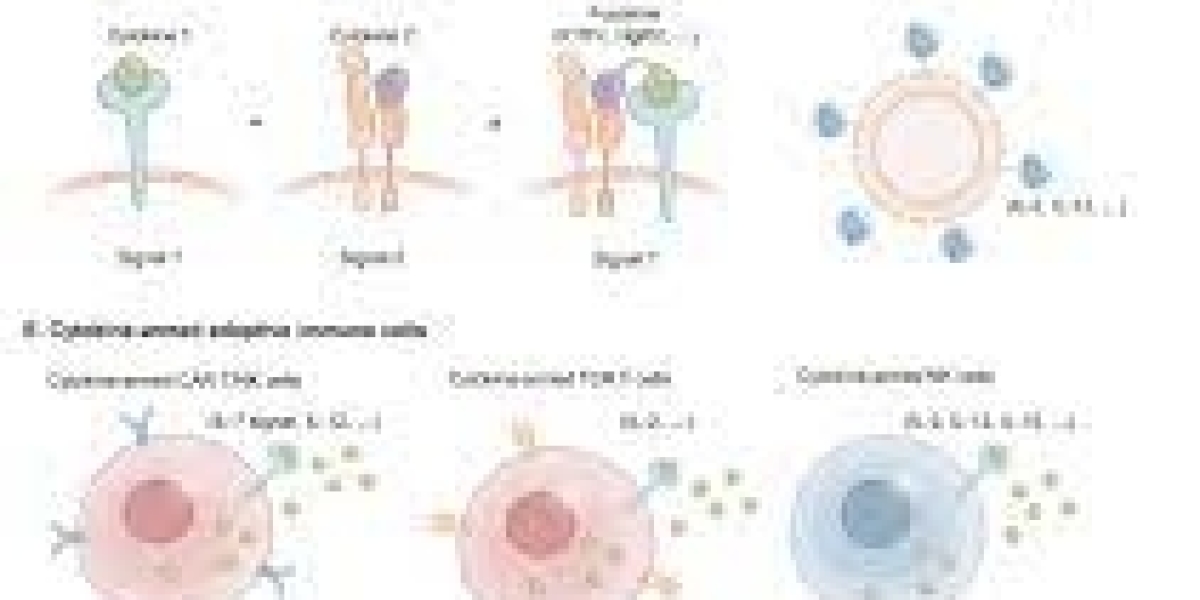 Immunocytokines Market 2024-2032: Trends, Size Share, Growth and Leading Players