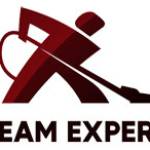 steamexperts Profile Picture