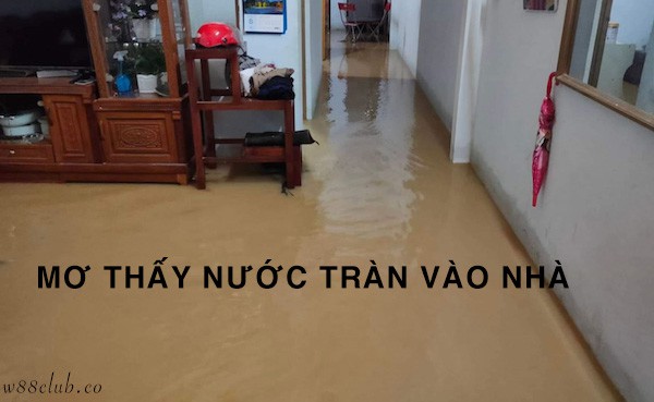 Mơ thấy nước tràn vào nhà mang ý nghĩa gì và đánh con gì?