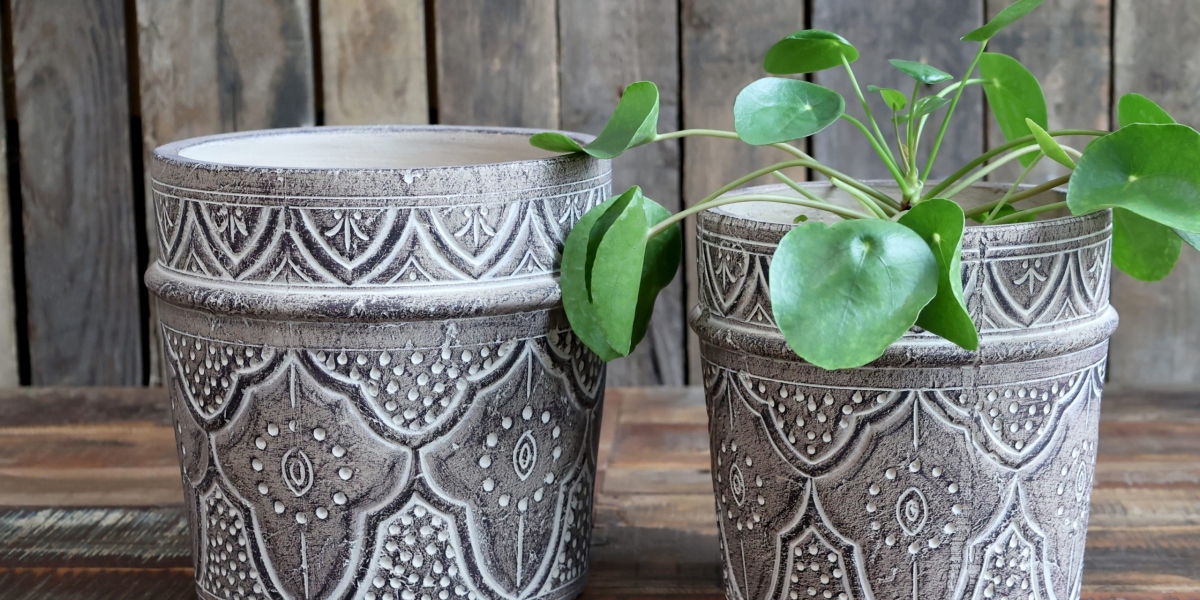 A Guide to the Diverse World of Gardening Pots for Sale