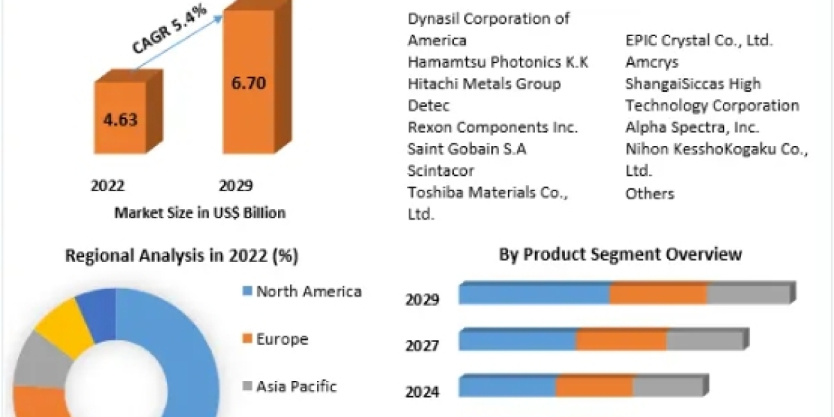 Bladder Cancer Treatment Market Report, Size, Development, Key Opportunity 2029