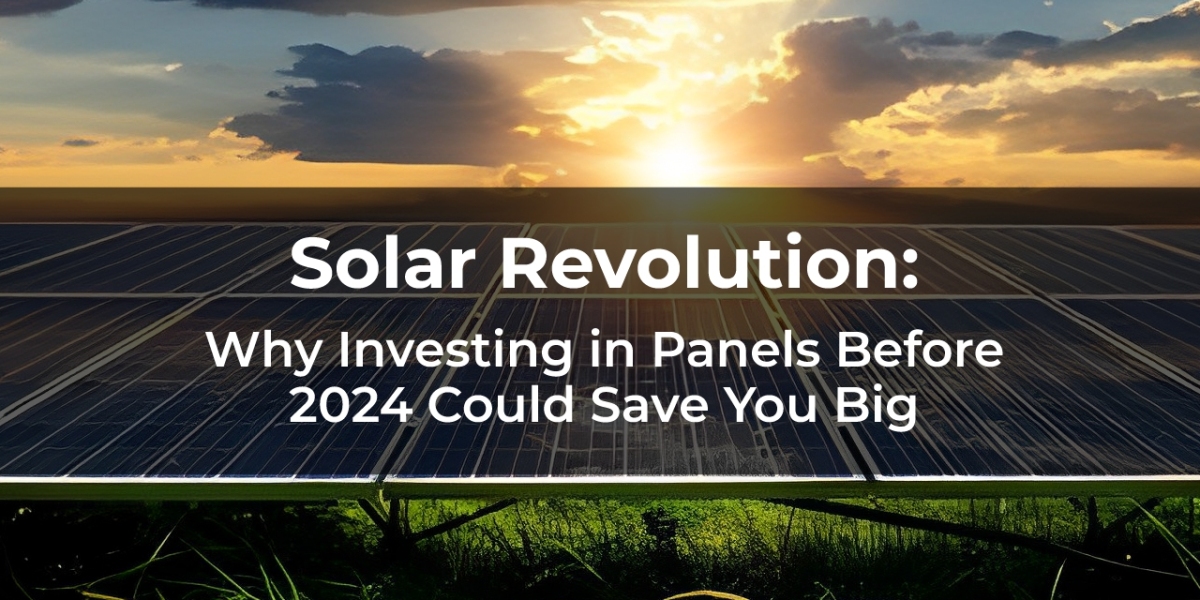 Solar Revolution: Why Investing in Panels Before 2024 Could Save You Big