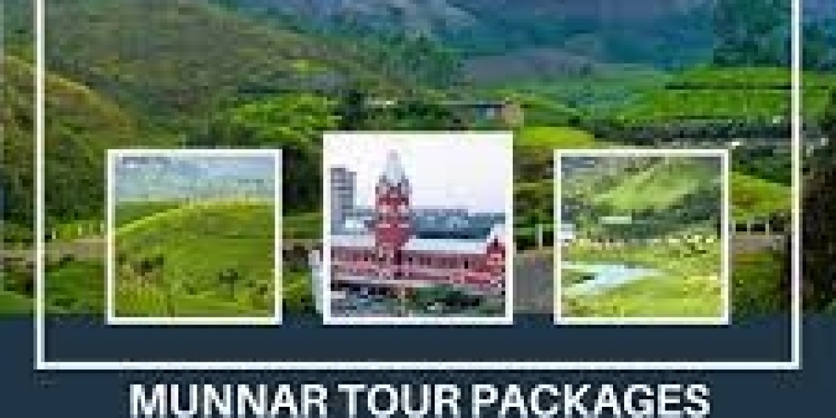 Munnar tour packages from Chennai