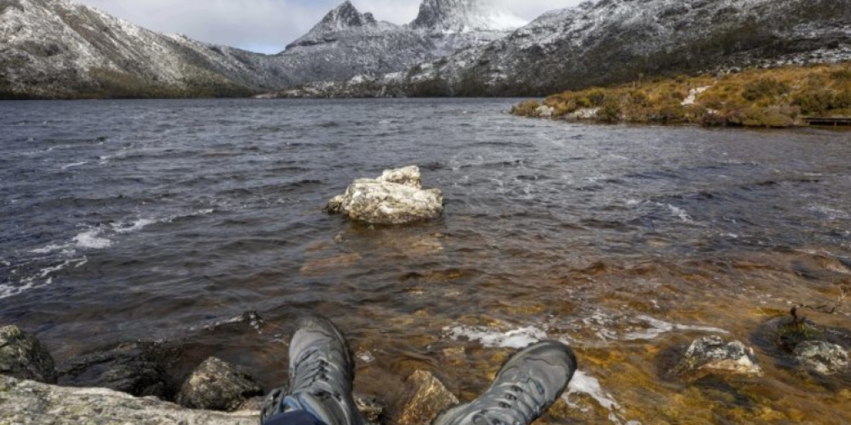 Exploring the Wilderness: Unveiling the Beauty of Cradle Mountain Tours