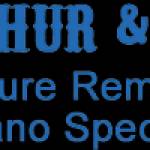 Arthur's Furniture Removals House Removals Hull Profile Picture