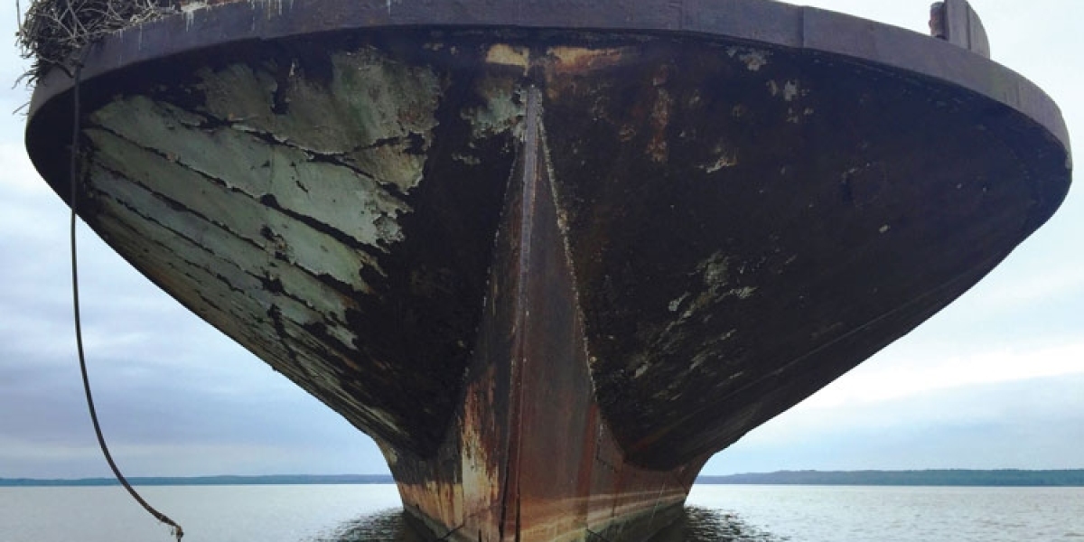Echoes of the Sea: Exploring the Bay Ghost Fleet's Maritime Melancholy