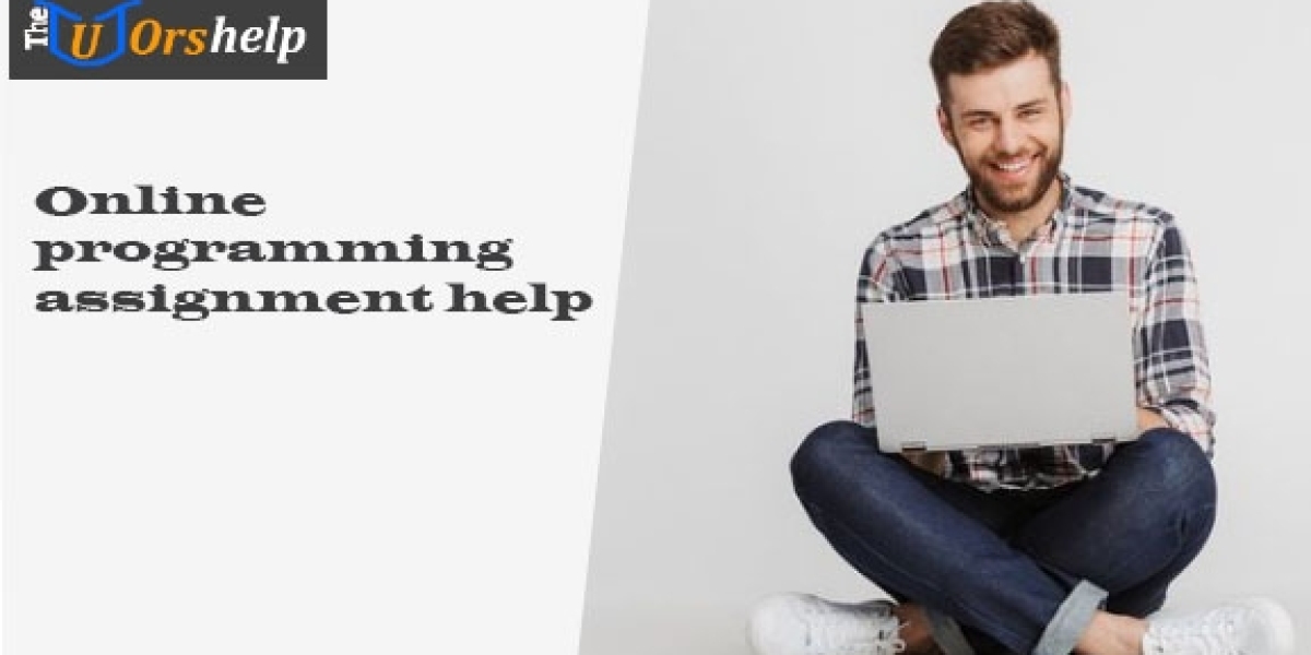 Online programming assignment help