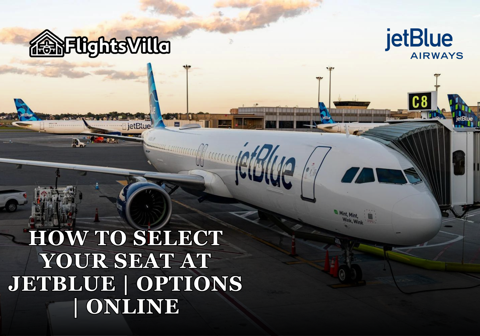 How to Select Your Seat at JetBlue | Options | Online - Flightsvilla - Latest News & Blogs